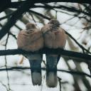 bunnymermaidwrites avatar