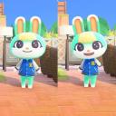 bunnyoftheday avatar