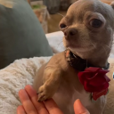 burgundyblahblah avatar