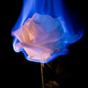 burningfireinsideyouroceaneyes avatar