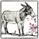 burritojournal avatar