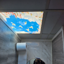 butchtranssexual avatar