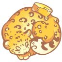butter-leopard-studio avatar