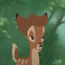 butterfly-bambi-blog avatar