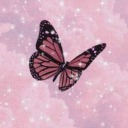 butterflypositivity avatar