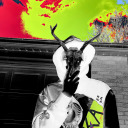 c0gnit0f4gg0t avatar