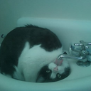 c0nfusedandaroused avatar