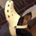 cacophonyconundrum avatar