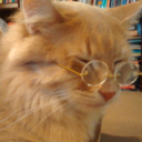 cactus-princess avatar