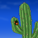 cactusismydisguise avatar