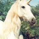 caderno-do-tedio avatar