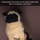 caerulus-rosa-404 avatar