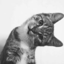 cafevainillachocolate avatar