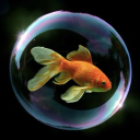 caffeinecloud avatar