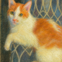 calamityisalve avatar