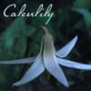 calenlily avatar