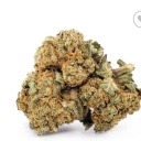 calibudornobudsociety avatar