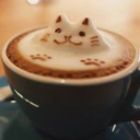 calico-cafee avatar