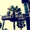 california---dreaming avatar