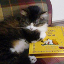 call-me-overcomer avatar