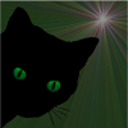 calliecat-cc avatar