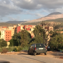 callingallneckbeards avatar