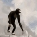 calmconfusion avatar