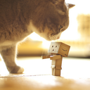 calmimagination avatar