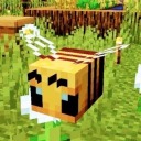 calmvibesalcove avatar