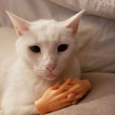 calumbalumwalum avatar