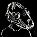 cam-sandwichh avatar