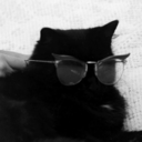 cambriancat avatar