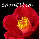 camellia-fav avatar