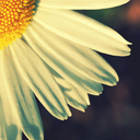 camilamgarcia avatar