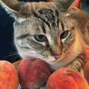 can-0-peaches avatar