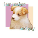 can-i-please-get-a-girlfriend avatar