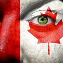 canadianabroadvery avatar