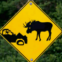 canadianmoosemafia avatar