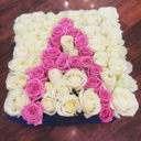 canalia88-blog avatar