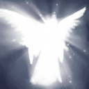 caninecomplex91 avatar