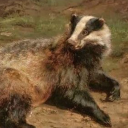 canines-crown avatar