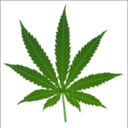 cannabis-alchemist-blog-blog avatar