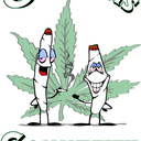 cannabiscommunity-blog avatar