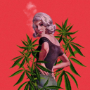 cannabisloversblog avatar