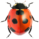 cannedbug avatar