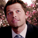 cannondestiel avatar