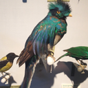 cannotbestill avatar