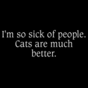 cant-get-past-the-how-are-you avatar