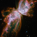 cantbelievemyself avatar