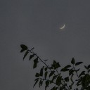 cantexistloudenoughforyou avatar